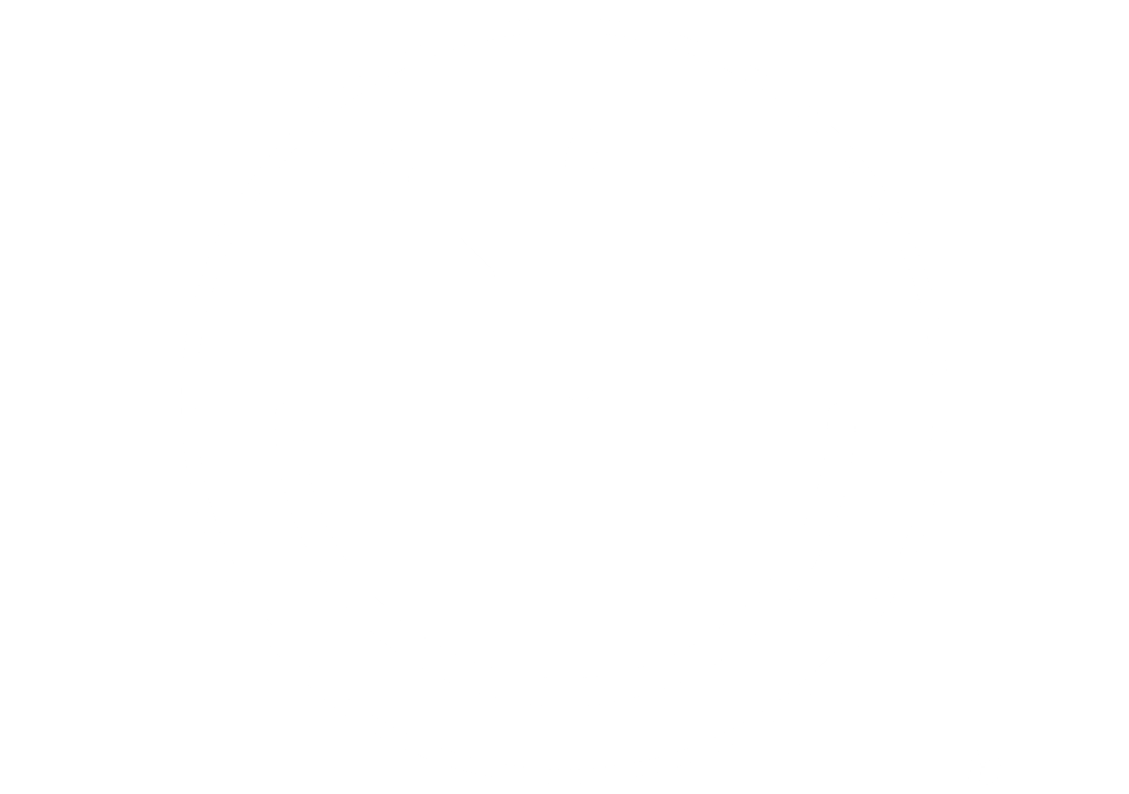 Pack 'n Ship logo